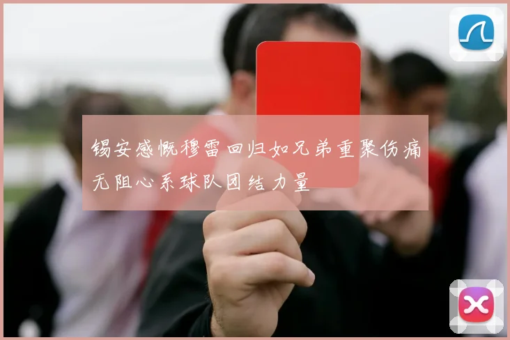 锡安感慨穆雷回归如兄弟重聚伤痛无阻心系球队团结力量